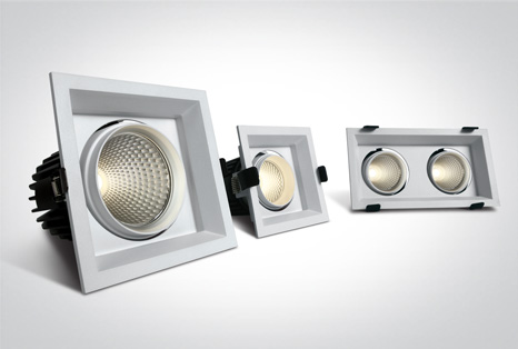 08 Downlights Adjustable LED