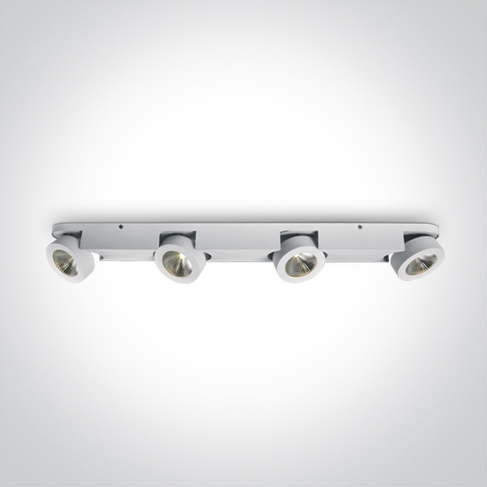 65110d W W One Light